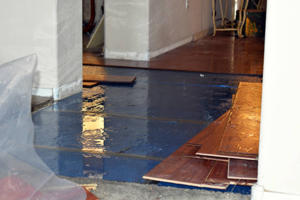 Professional Crawl Space Water Removal technician working in Berkley, MA